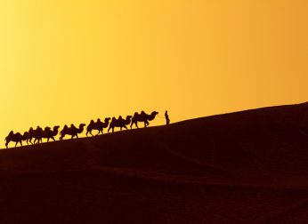 Silk Road Reloaded, le marché noir du net quitte Tor pour I2P